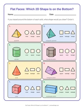 Flat Faces: Which 2D Shape Is on the Bottom?
