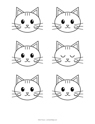 Cat Coloring Pages