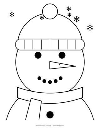 Snowman Face Close-Up