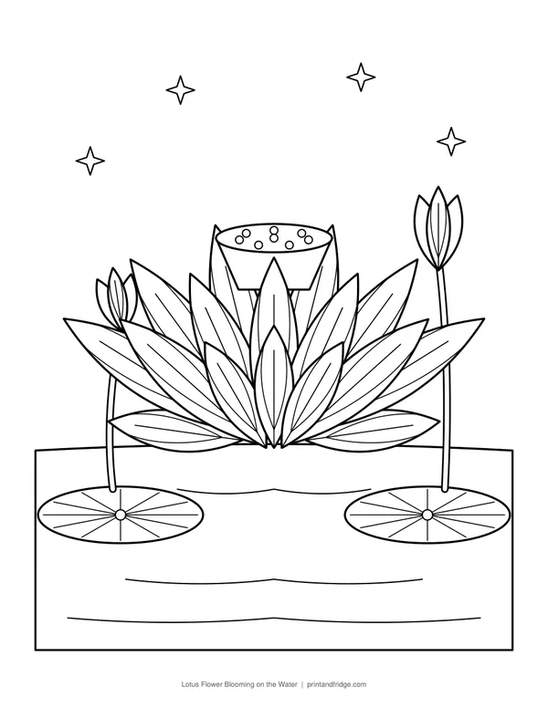 Flower Coloring Pages