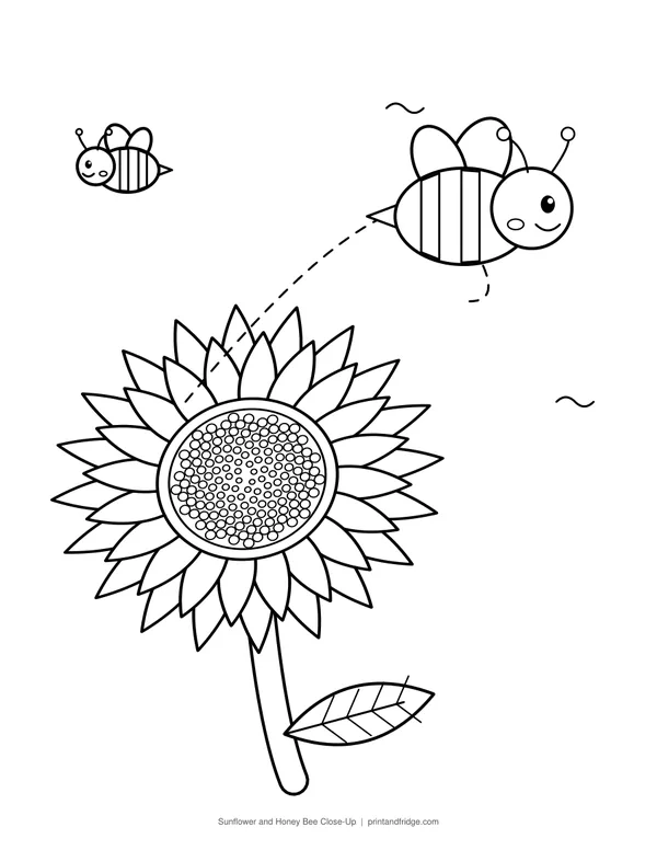 Sunflower and Honey Bee Close-Up printable coloring page