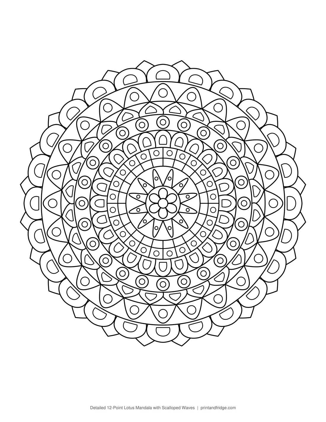 Detailed 12-Point Lotus Mandala with Scalloped Waves printable coloring page