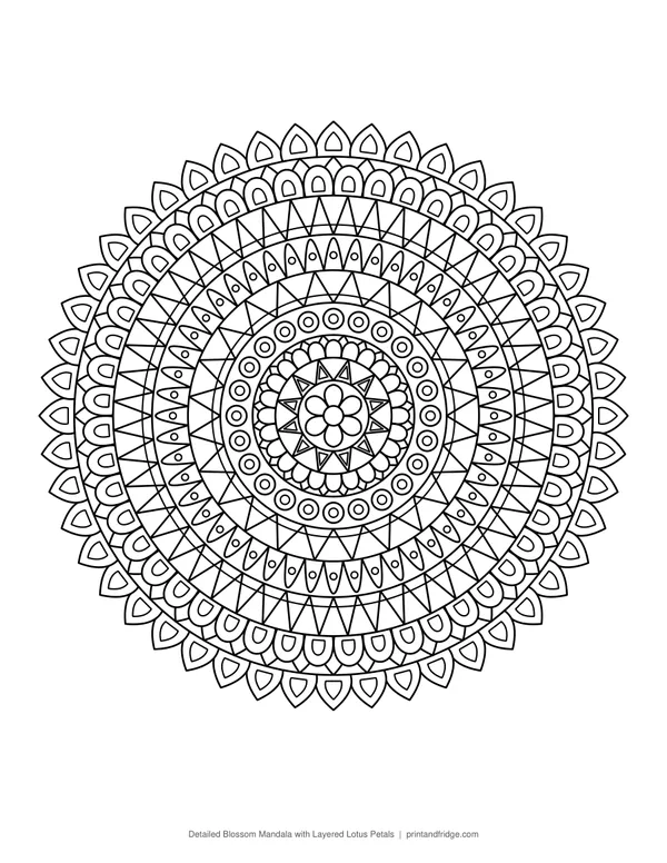 Detailed Blossom Mandala with Layered Lotus Petals coloring page