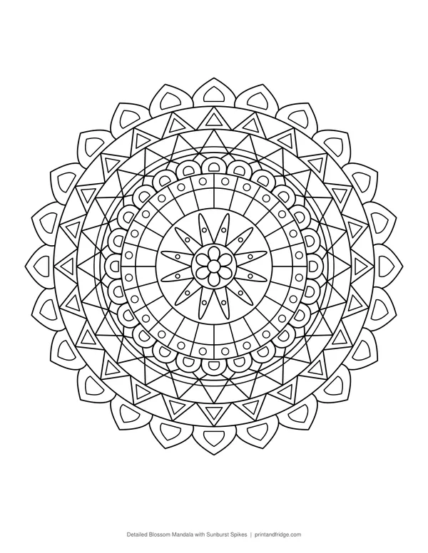 Detailed Blossom Mandala with Sunburst Spikes coloring page