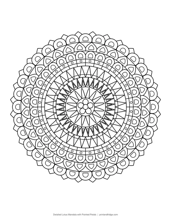 Detailed Lotus Mandala with Pointed Petals coloring page