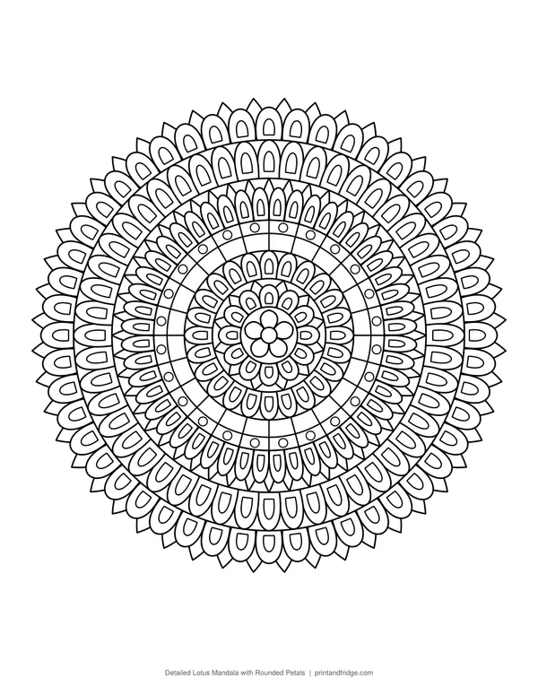 Detailed Lotus Mandala with Rounded Petals coloring page