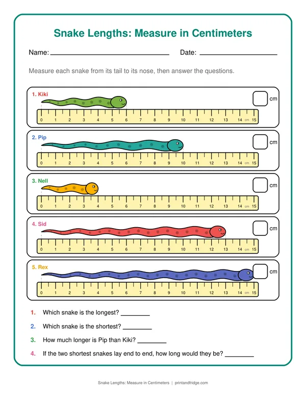 Snake Lengths: Measure in Centimeters printable worksheet