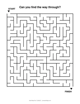 Hard Maze No. 3 (20x22)