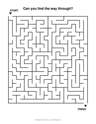 Hard Maze No. 4 (20x22)
