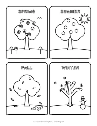 Four Seasons Tree Coloring Page