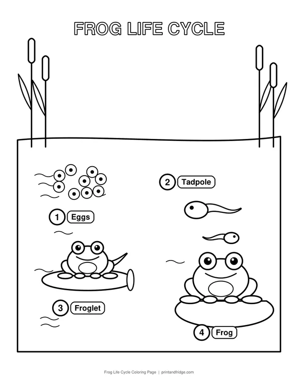 Science Coloring Pages