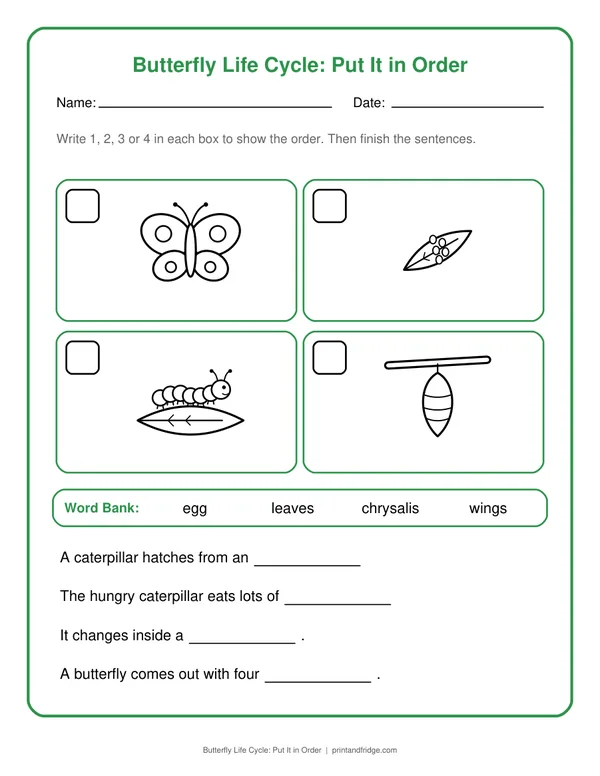 Butterfly Life Cycle: Put It in Order printable worksheet