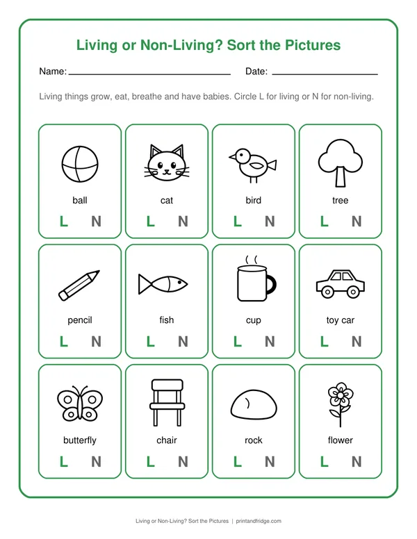 Living or Non-Living? Sort the Pictures worksheet