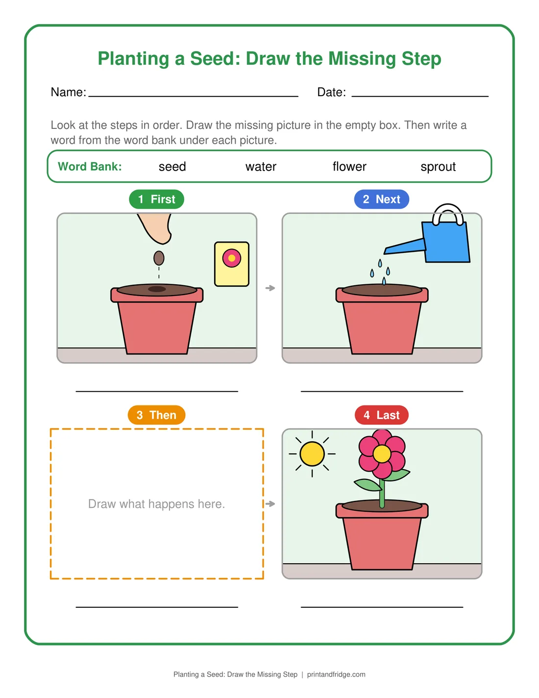 Planting a Seed: Draw the Missing Step printable worksheet