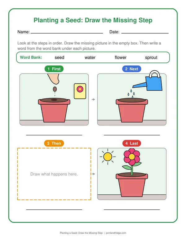 Planting a Seed: Draw the Missing Step printable worksheet