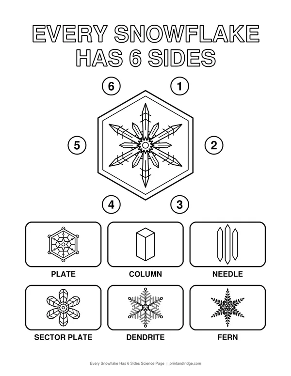 Every Snowflake Has 6 Sides Science Page printable coloring page