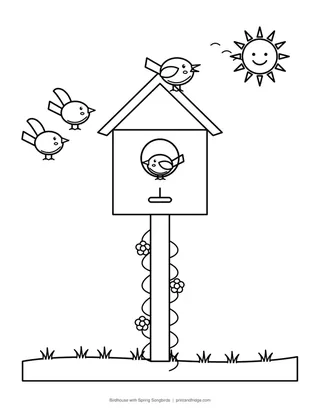 Birdhouse with Spring Songbirds