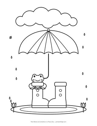 Rain Boots and Umbrella on a Rainy Day