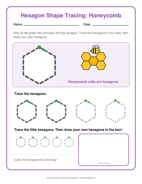 Hexagon Shape Tracing: Honeycomb printable worksheet