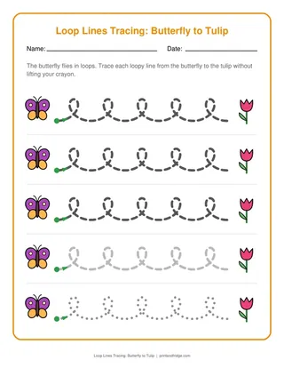 Loop Lines Tracing: Butterfly to Tulip