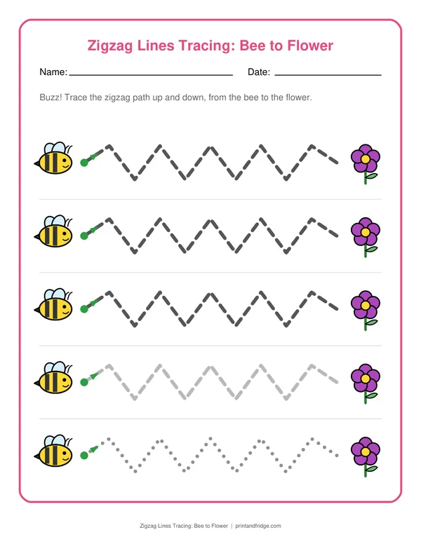 Zigzag Lines Tracing: Bee to Flower printable worksheet