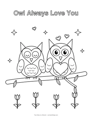 Two Owls on a Branch
