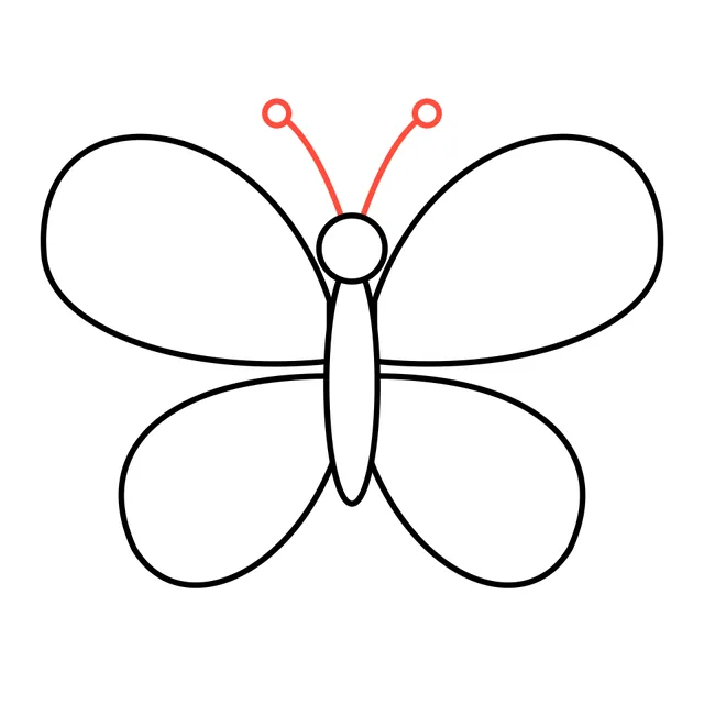butterfly drawing, step 4