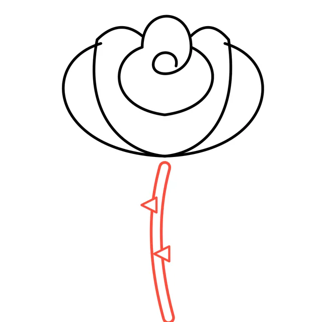 rose drawing, step 5