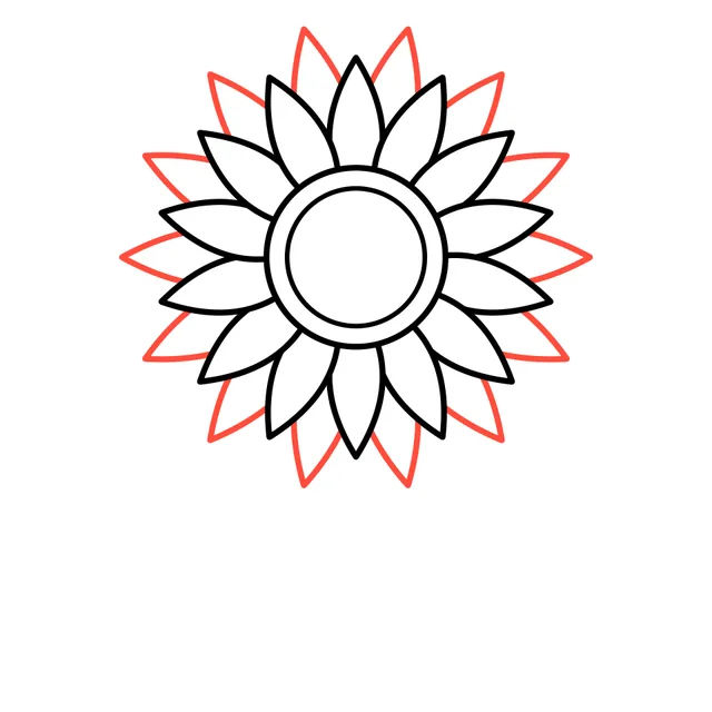 sunflower drawing, step 4