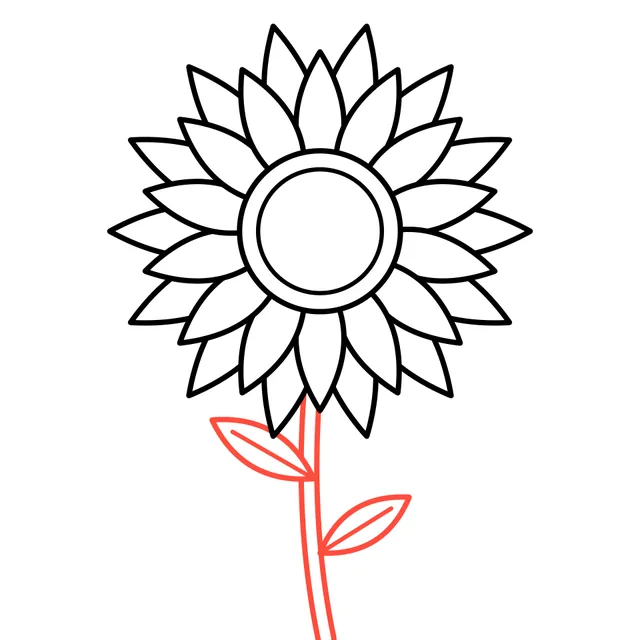 sunflower drawing, step 5