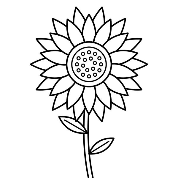 sunflower drawing