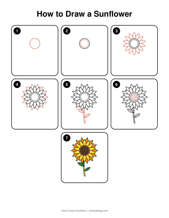 how to draw a sunflower printable worksheet